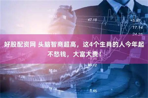 好股配资网 头脑智商超高，这4个生肖的人今年起不愁钱，大富大贵！