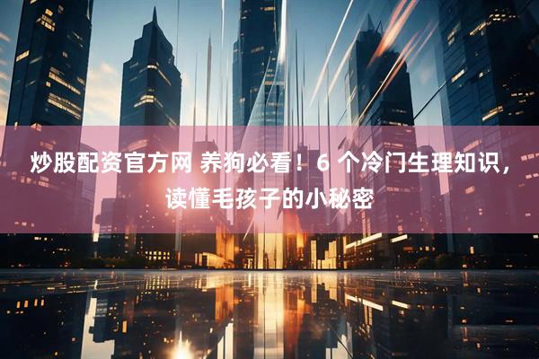 炒股配资官方网 养狗必看！6 个冷门生理知识，读懂毛孩子的小秘密
